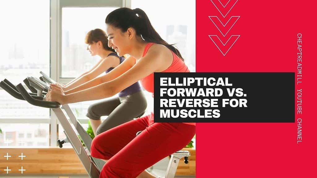 Elliptical Forward vs Reverse for Muscles