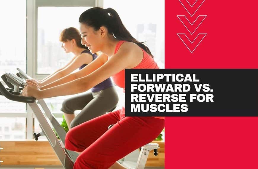Elliptical Forward vs  Reverse for Muscles