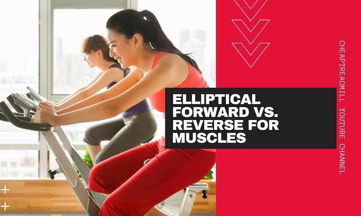 Elliptical Forward vs  Reverse for Muscles