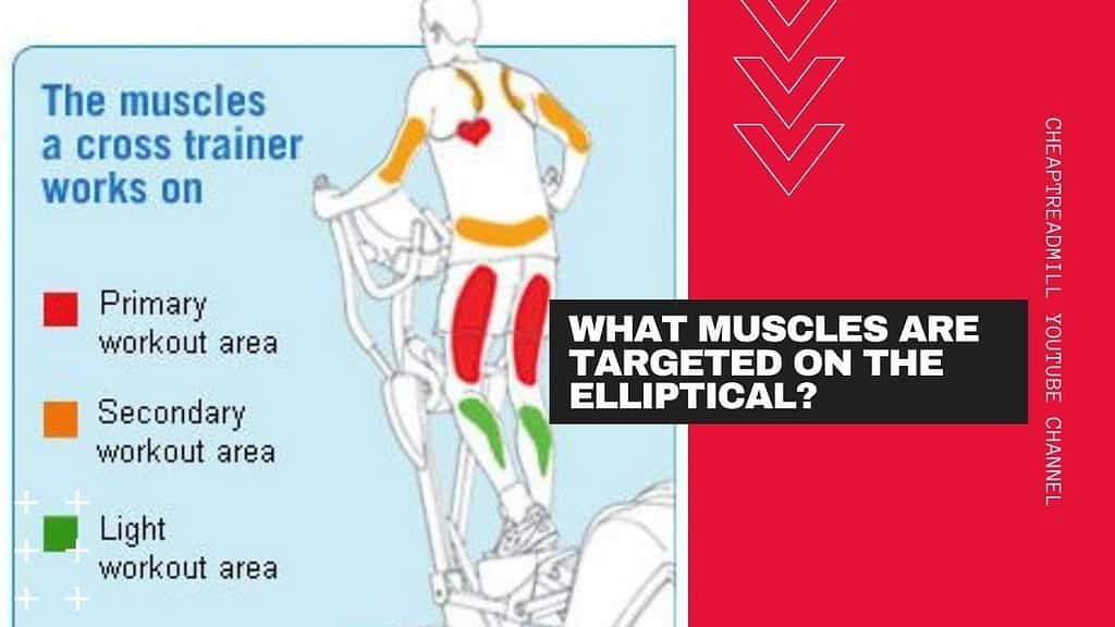 What Muscles Are Targeted on the Elliptical?