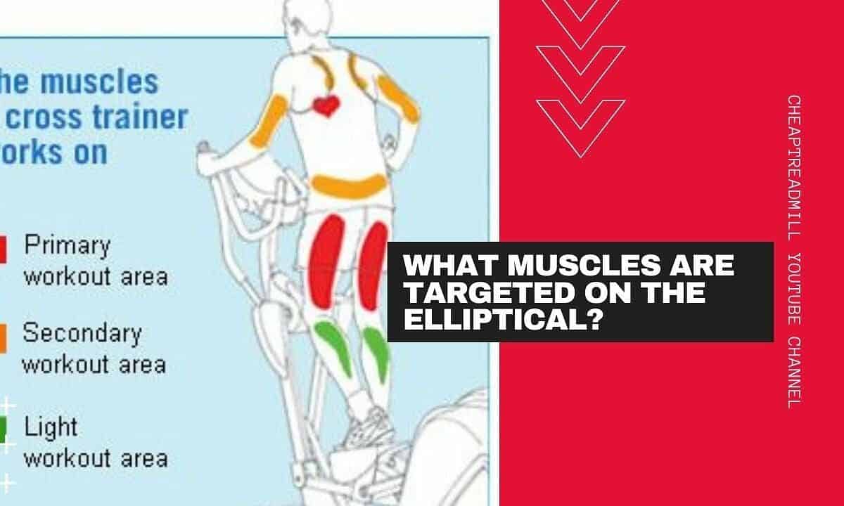 What Muscles Are Targeted on the Elliptical?